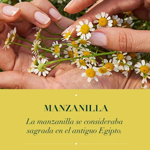 Acondicionador Herbal Essences Brillo Manzanilla y Pasiflora 400ml