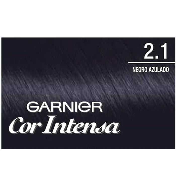 Nutrisse Cor Intensa Garnier 2.1 Negro Azulado