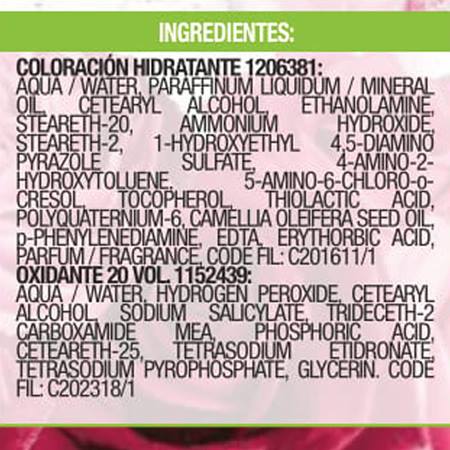 Nutrisse Cor Intensa Garnier 6.6 Rojo Intenso